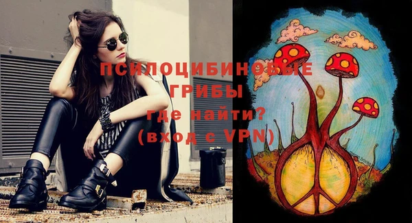ГАЛЛЮЦИНОГЕННЫЕ ГРИБЫ Беломорск