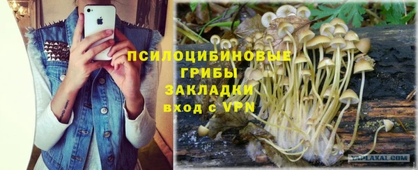первитин Белоозёрский