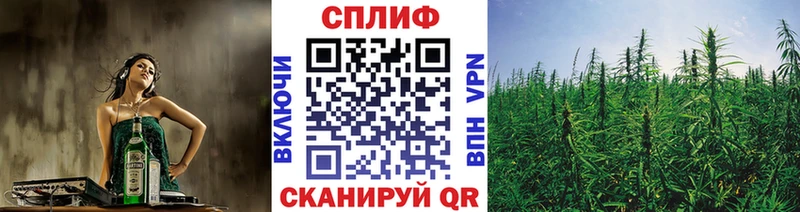 гидра ССЫЛКА  купить наркоту  Сертолово  Бошки марихуана марихуана 